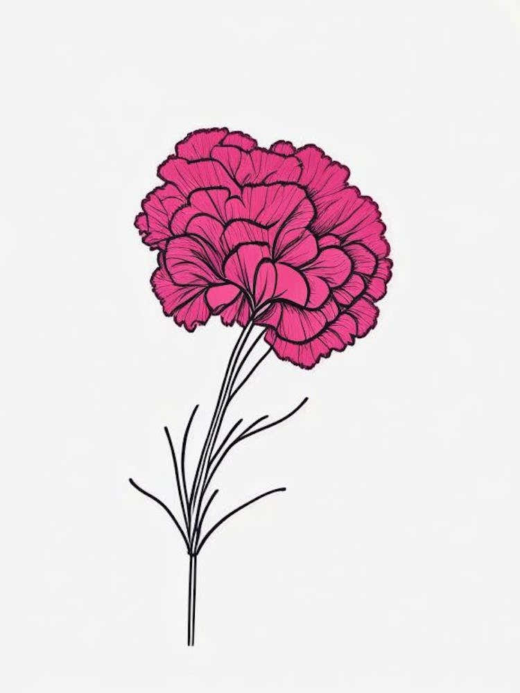 Carnation Floral Minimal Line Drawing 1 Flower