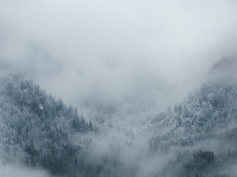 Where Mountains meet the Mist