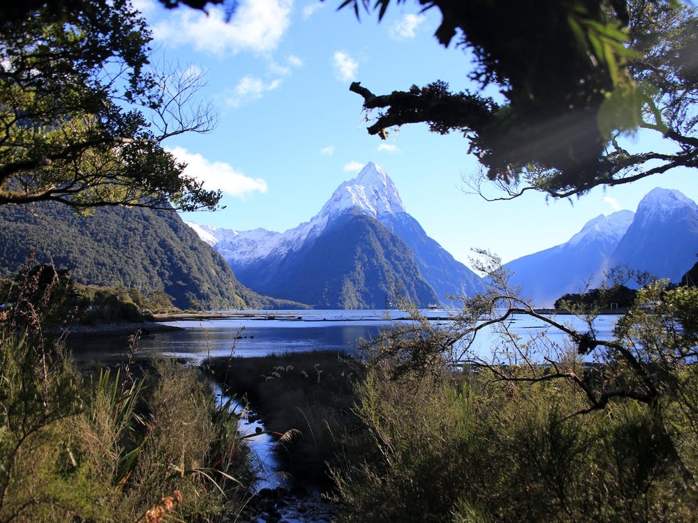 Milford Sound Landscape