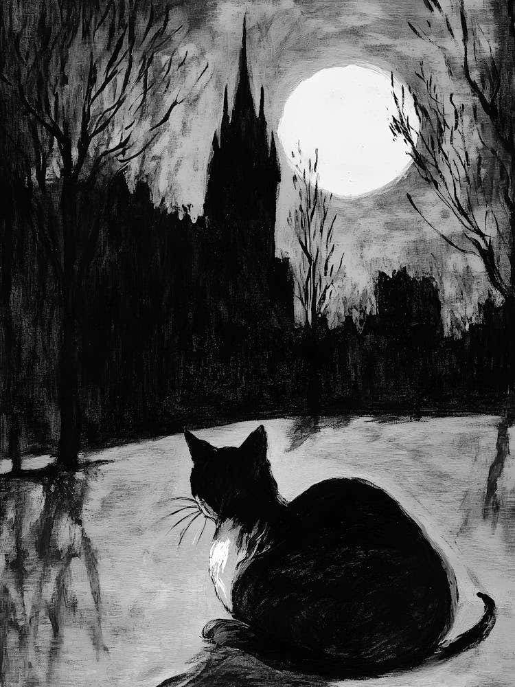 Cat In The Moonlight