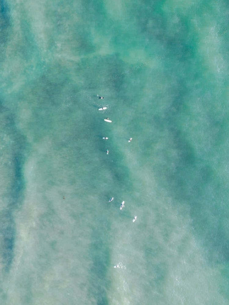 Surf Lineup Pacific Ocean