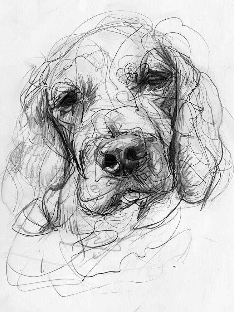 Cocker Spaniel Dog Charcoal Line 2