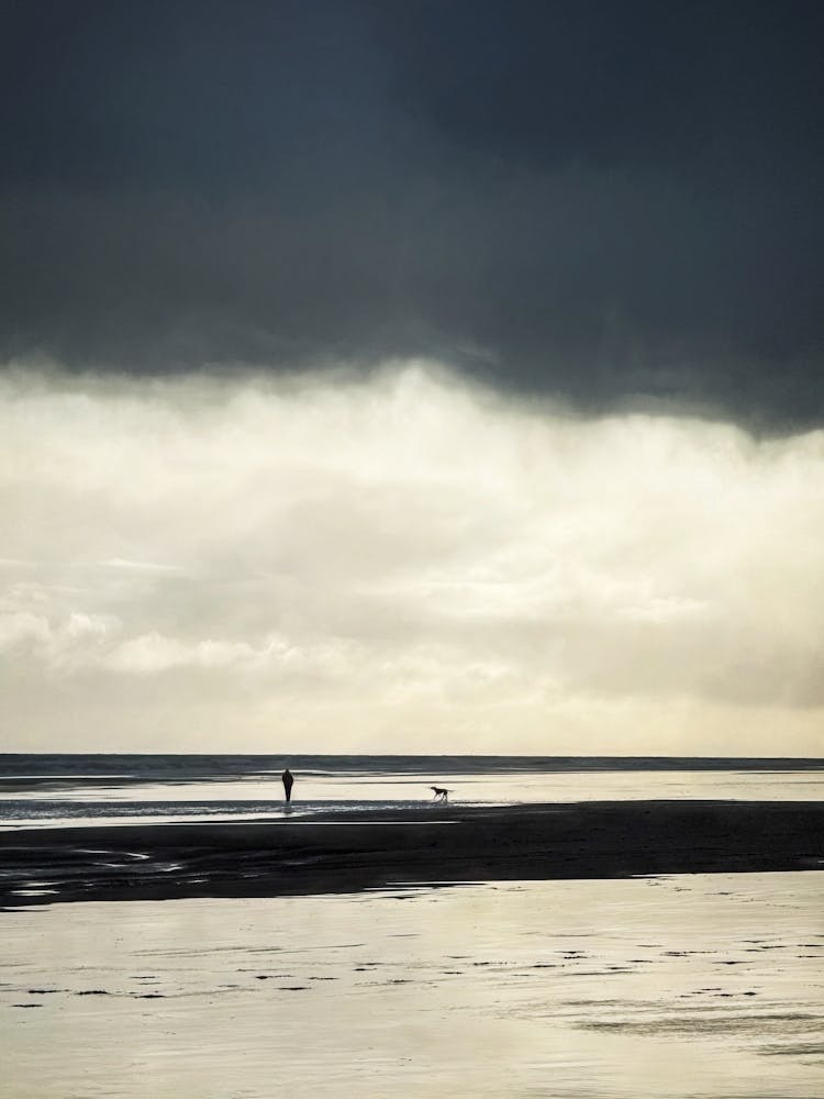 Promenade de Chien sur la Plage Atmosphérique