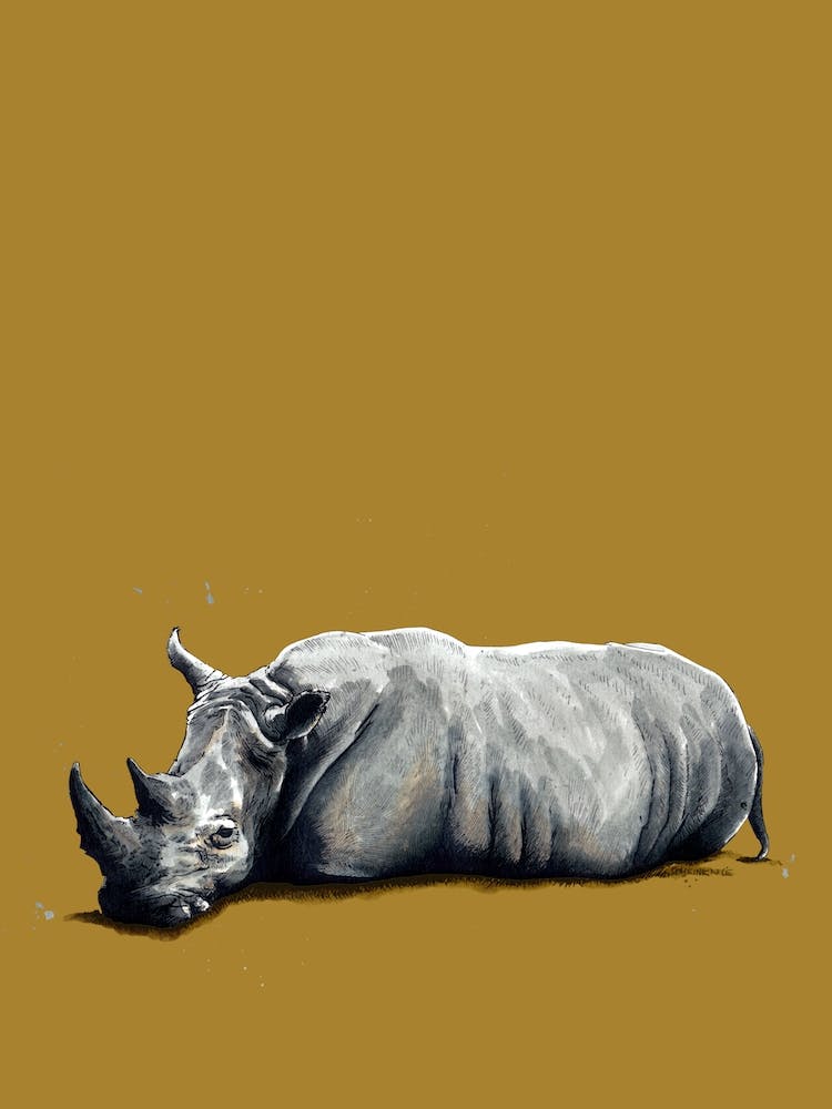 The Rhino On Burnt Gold