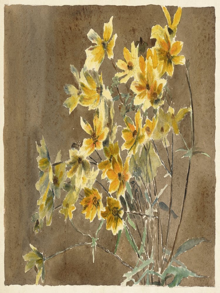 Yellow Flowers