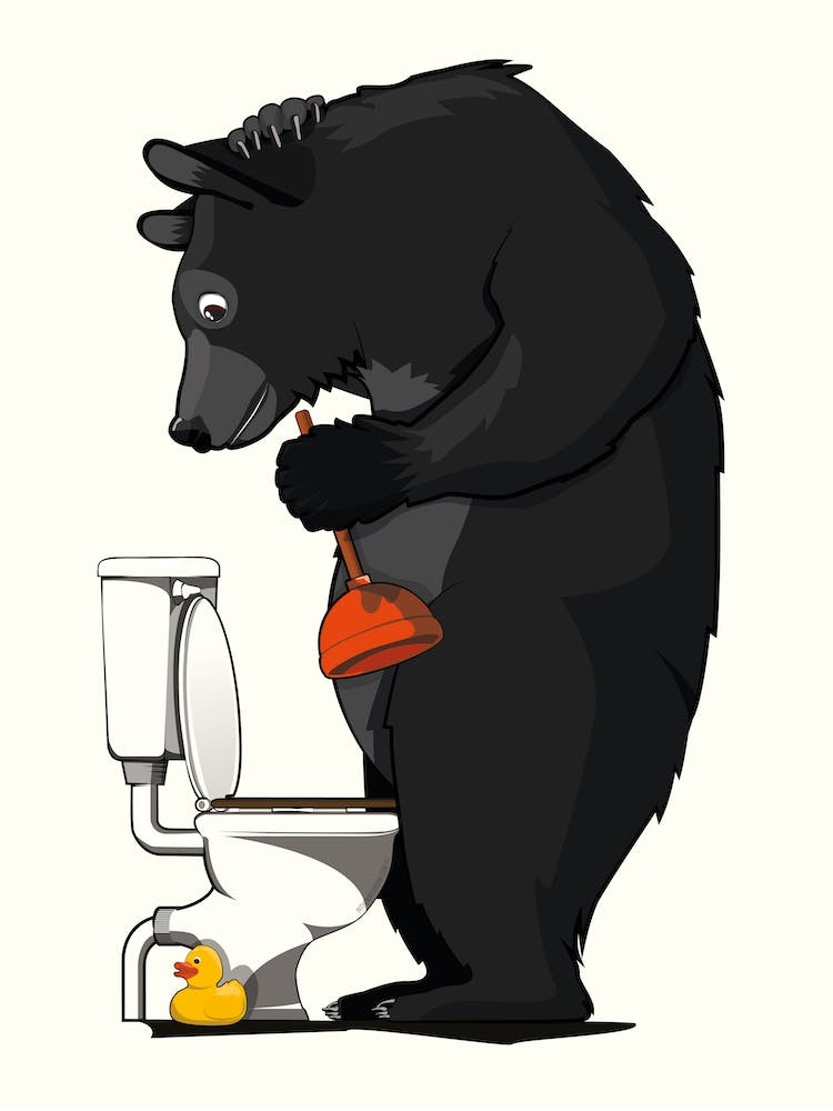 Black Bear Plunging Toilet