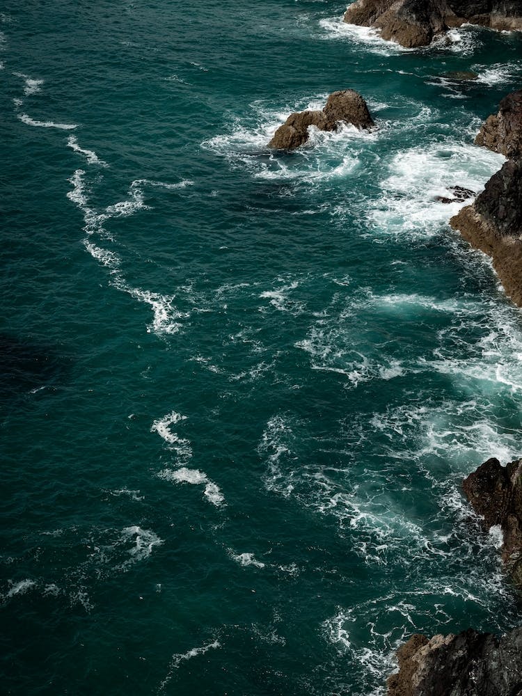 Wild Coast