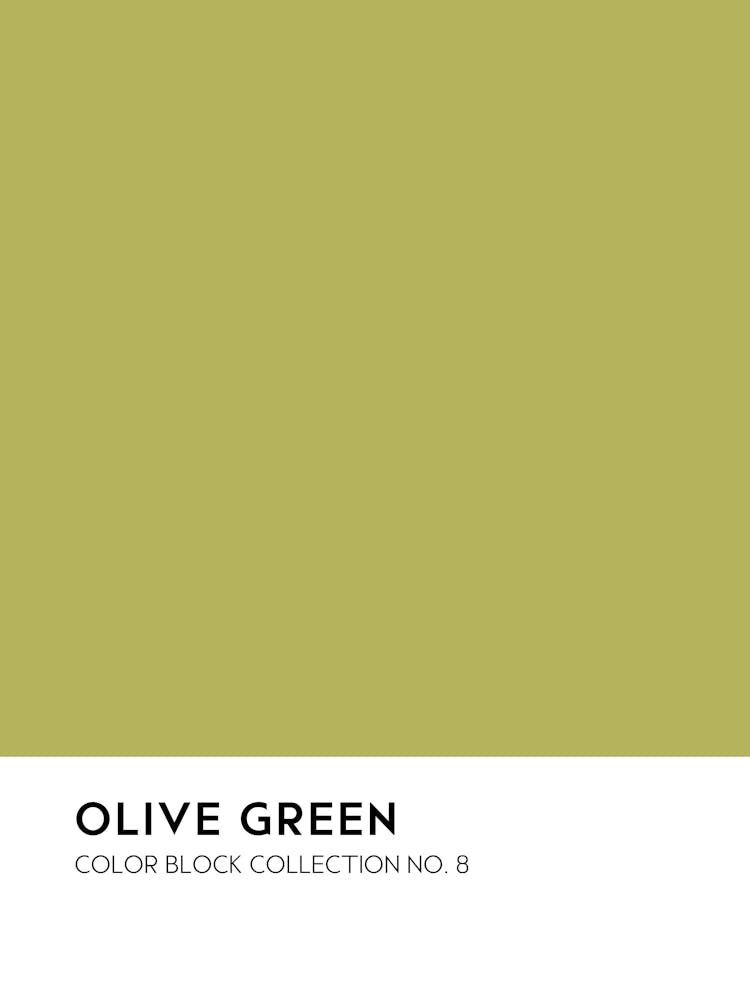 Olive Green Color Block Collection