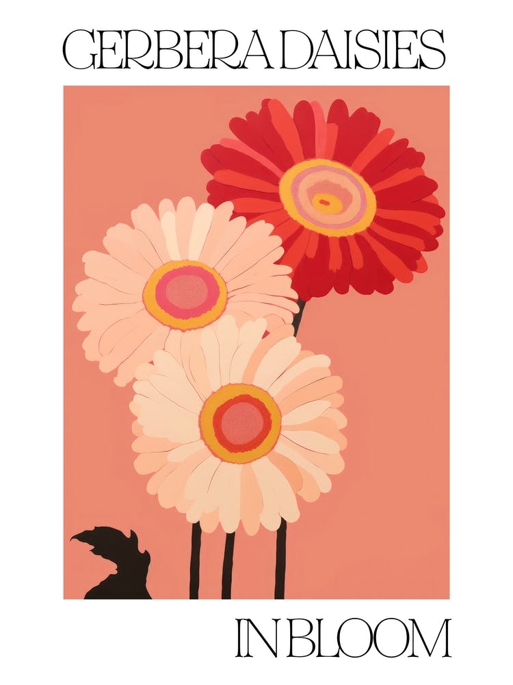 Gerbera Daisies In Bloom Flowers Bold Illustration 3