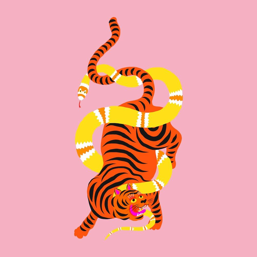 Tiger And Snake Battle Square