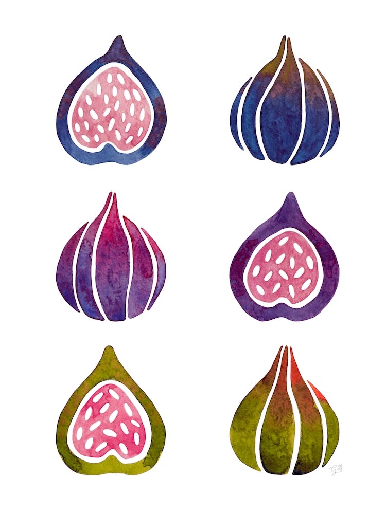Figs