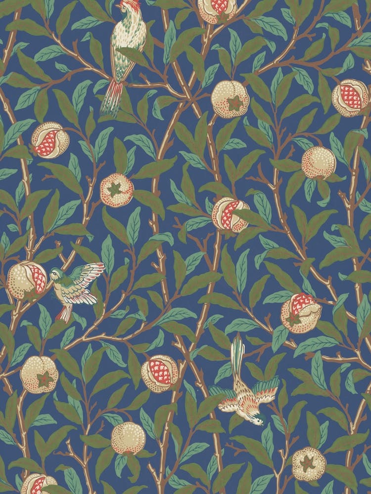 Bird And Pomegranate, Kathleen Keraey