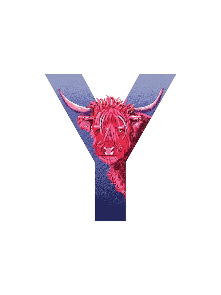 Y Is For Yak 