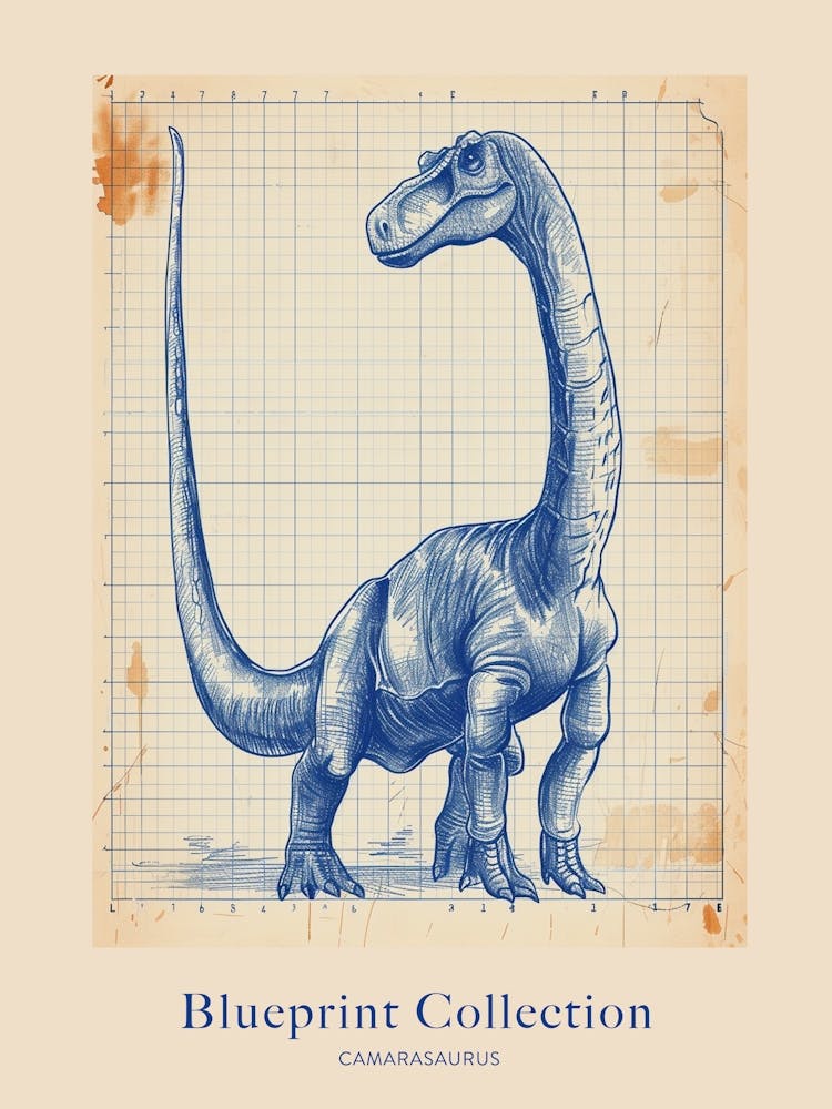 Camarasaurus Dinosaur Blue Print Sketch 2 Poster