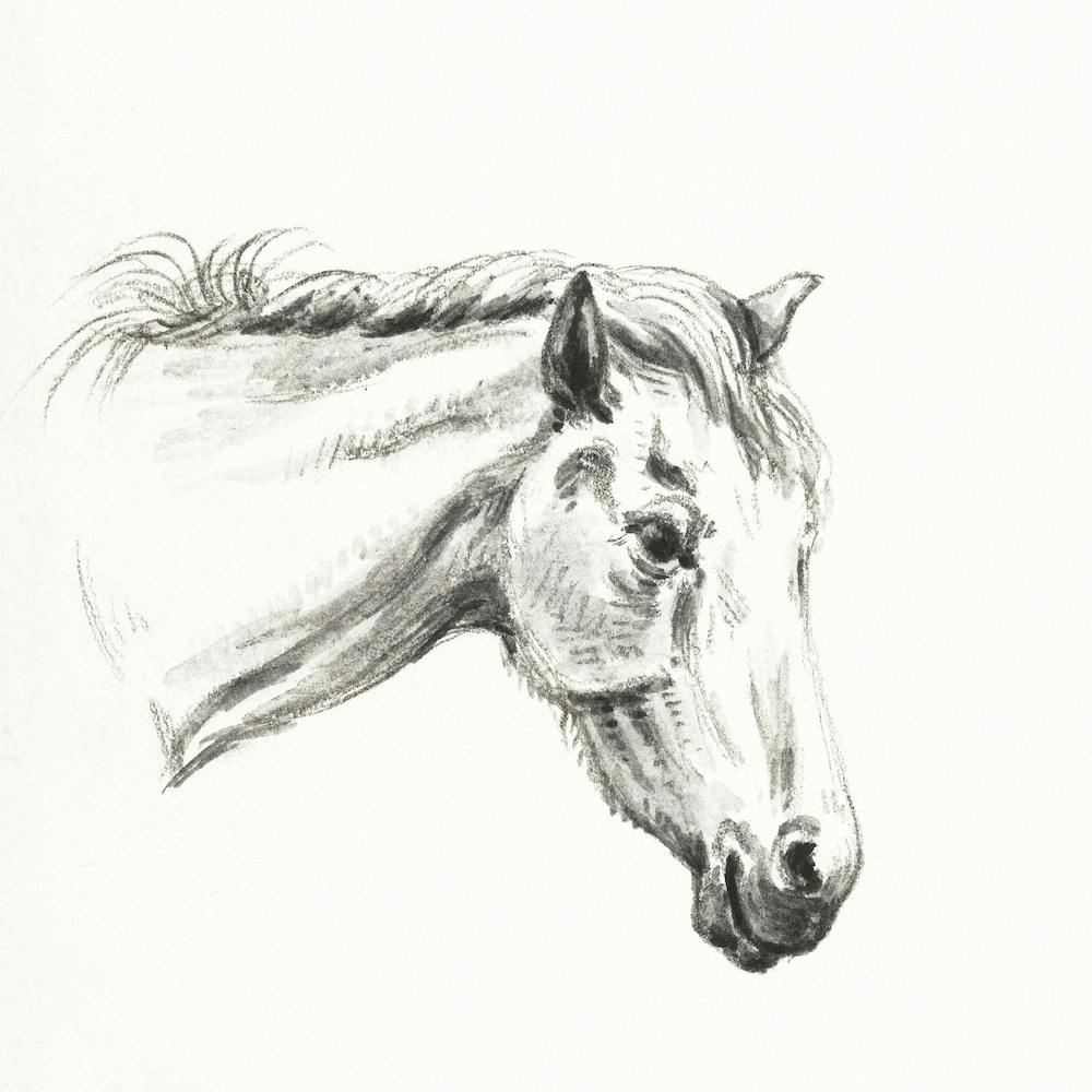 Head Of A Horse (1819), Jean Bernard