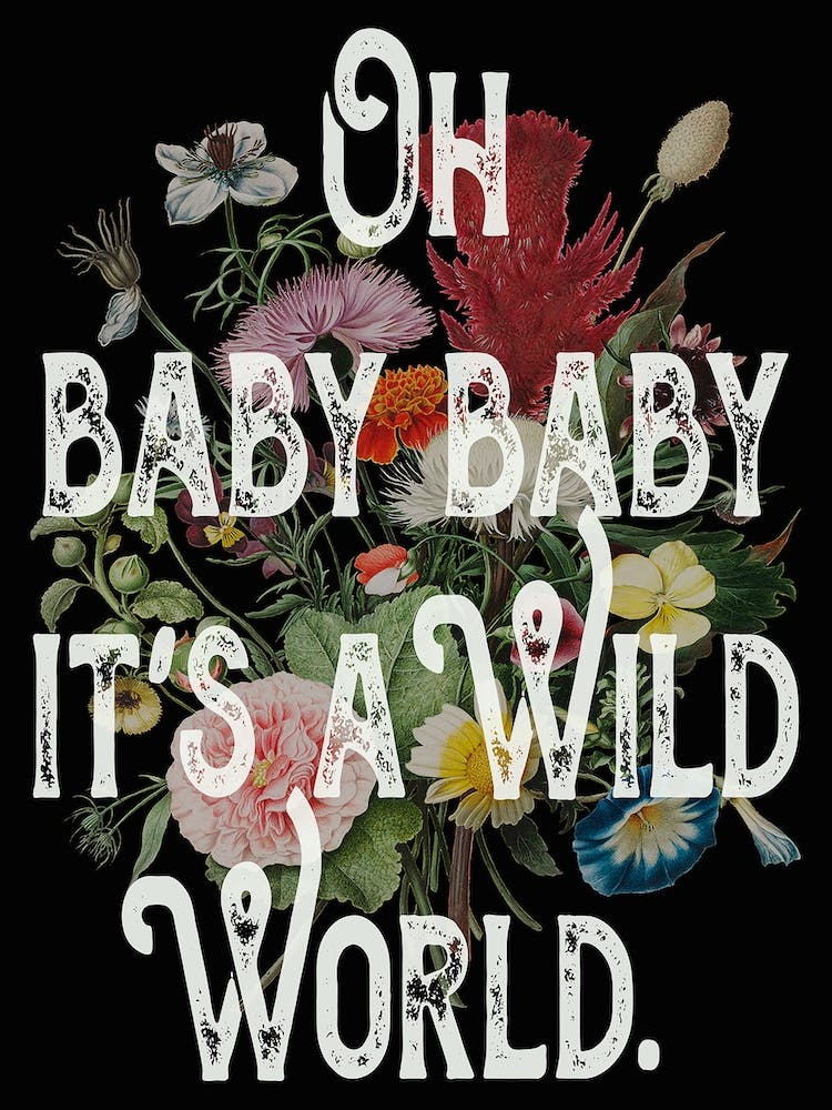Quote Lyrics Wild World