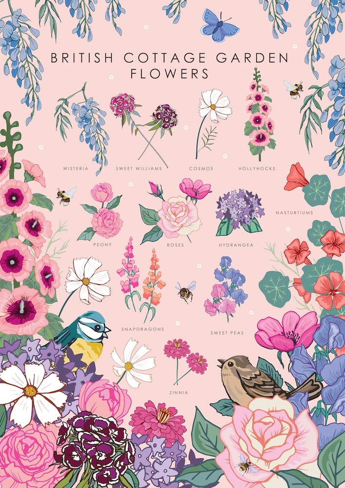 British Cottage Garden Flowers
