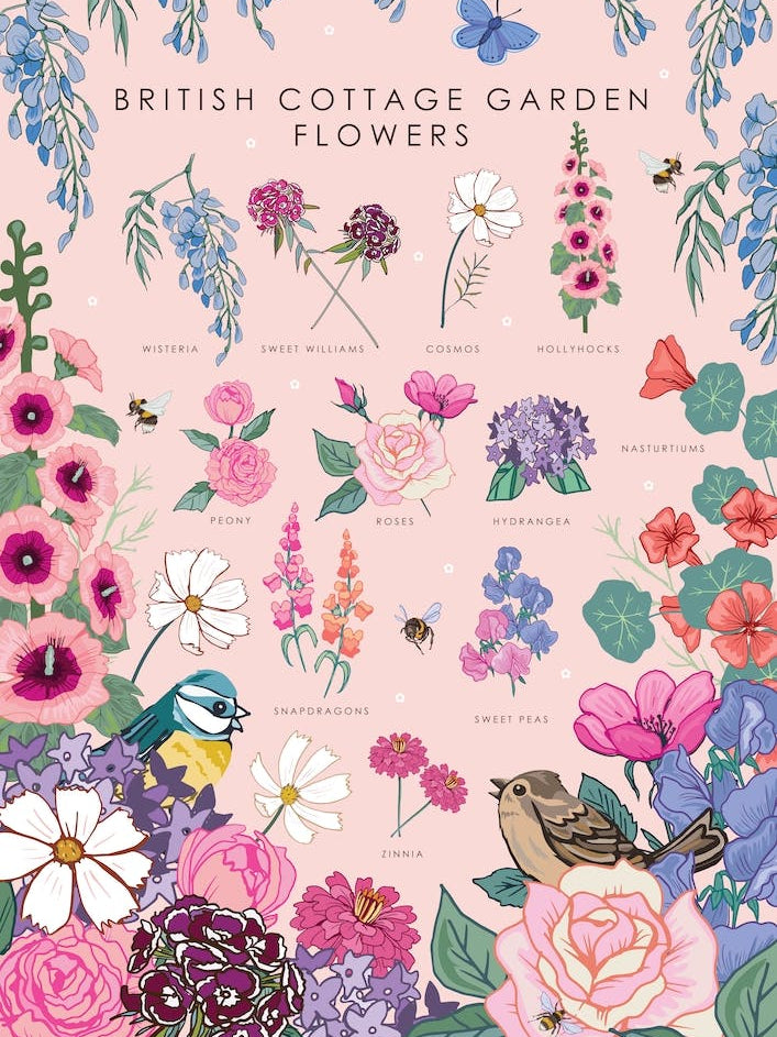 British Cottage Garden Flowers