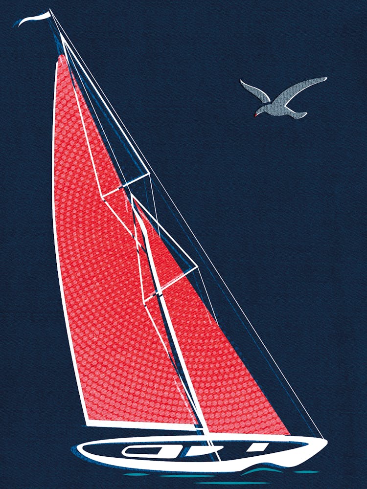 Adventure On The Boat