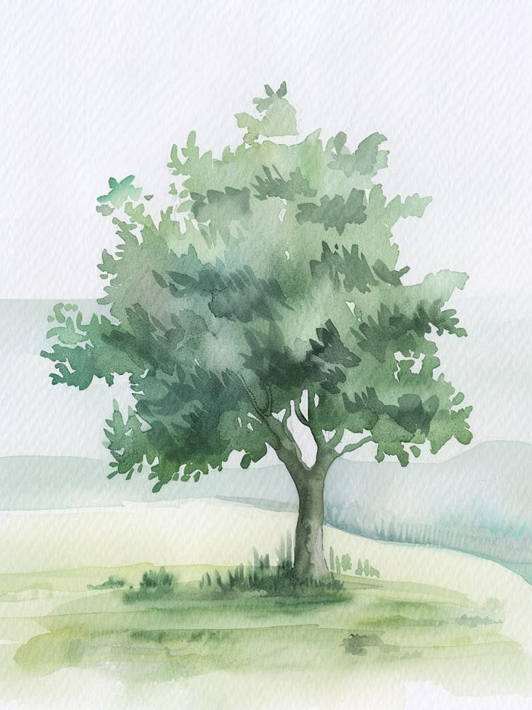 Olive Tree Atmospheric Watercolour Painting 2