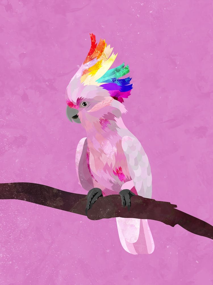 Rainbow Pride Cockatoo