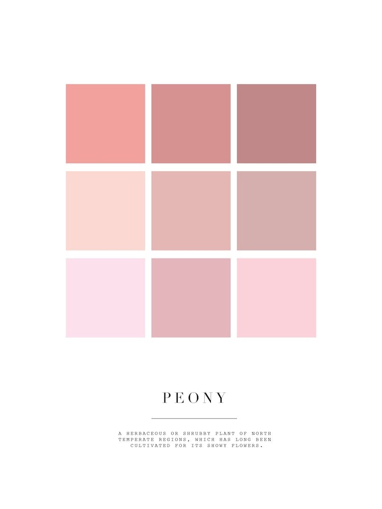 Peony Colour Palette