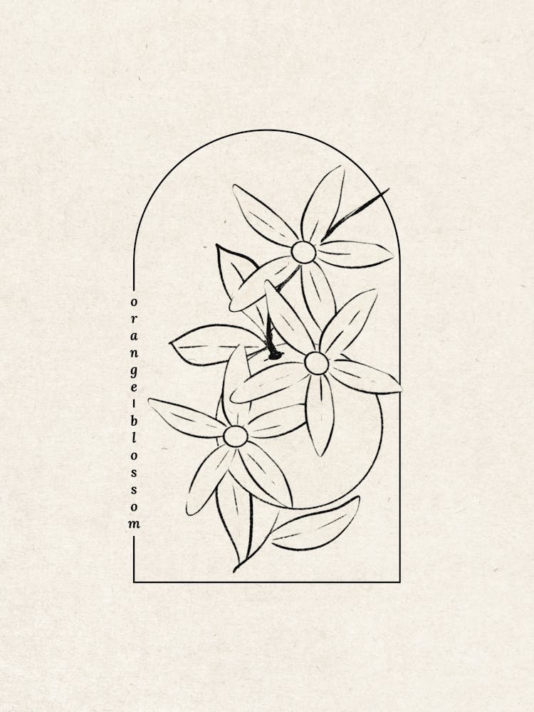 Orange Blossom Flower