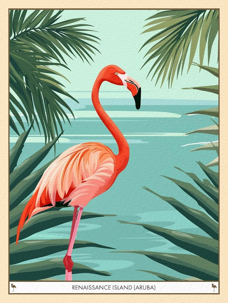 Greater Flamingo Renaissance Island Aruba Tropical Illustration 2 Poster