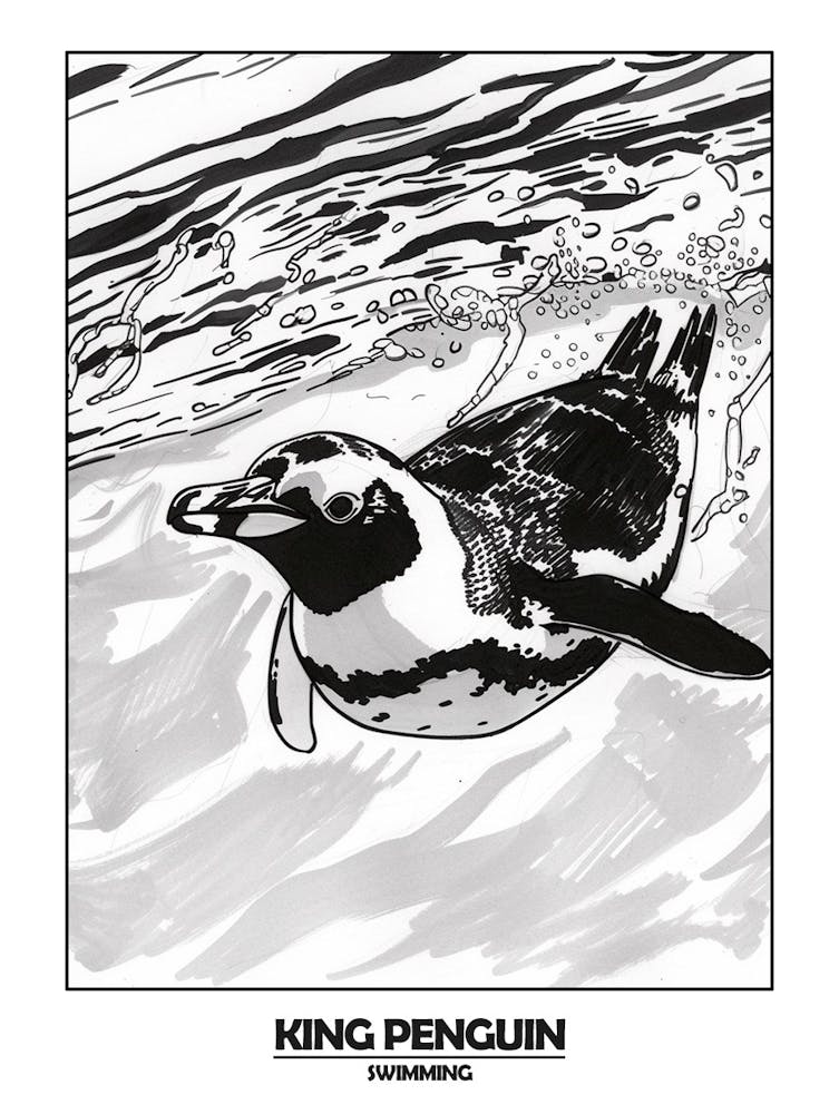 Penguin Swimming Poster 6