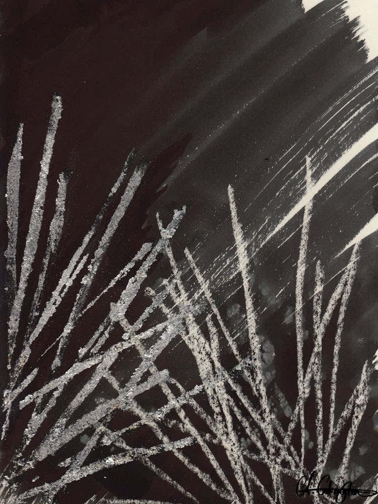 Black And White Ink Silver Leaf