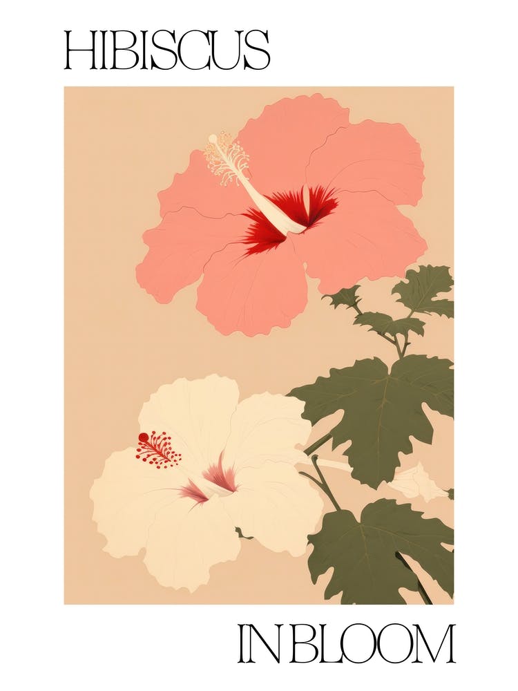 Hibiscus In Bloom Flowers Bold Illustration 3