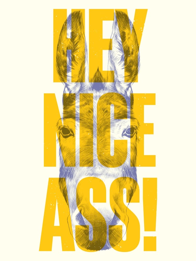 Hey Nice Ass - Funny Bathroom Toilet Print