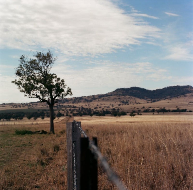 Farm 025