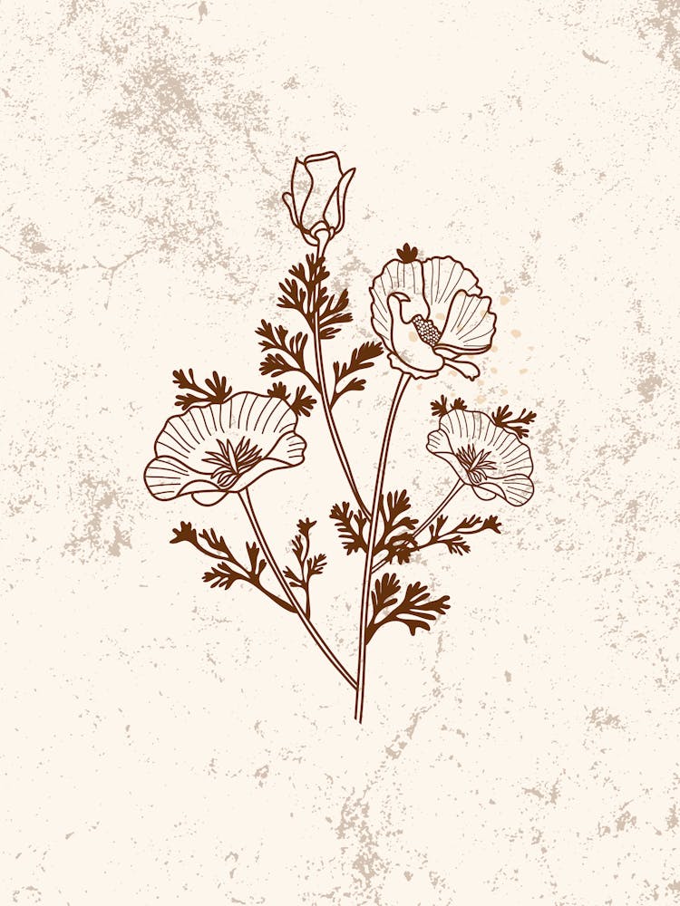 Poppy Flower