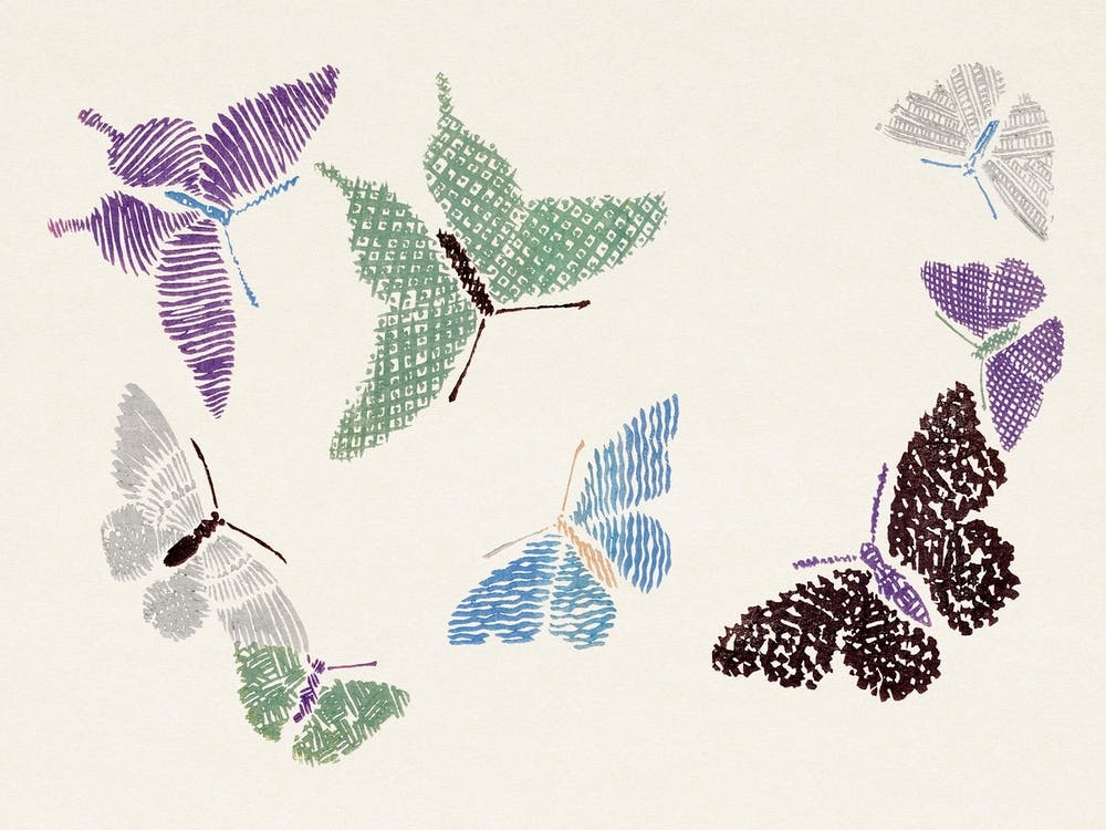 Vintage Butterfly, Cho Senshu (3)