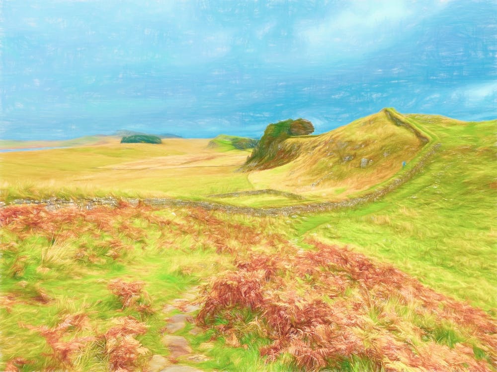 Hadrians Wall Landscape