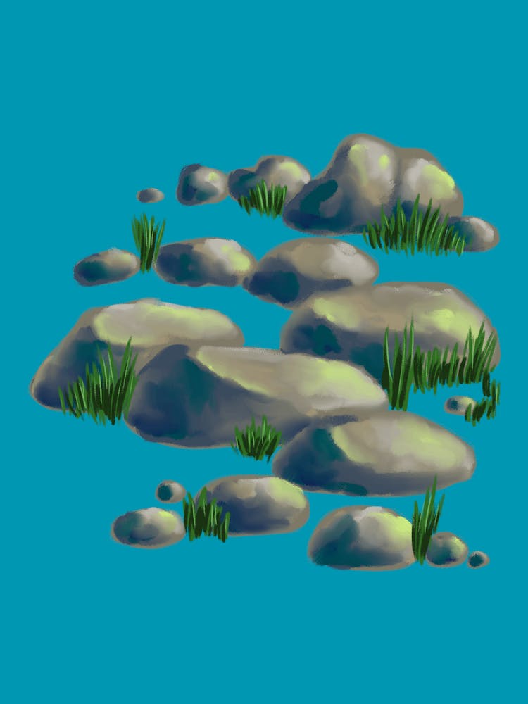 Rocks And Grass