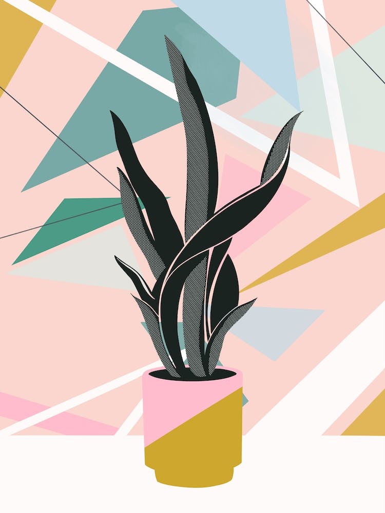 Pot Plant With Pastel Geometric