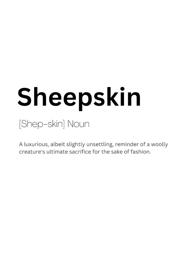 Sheepskin Definition Meaning