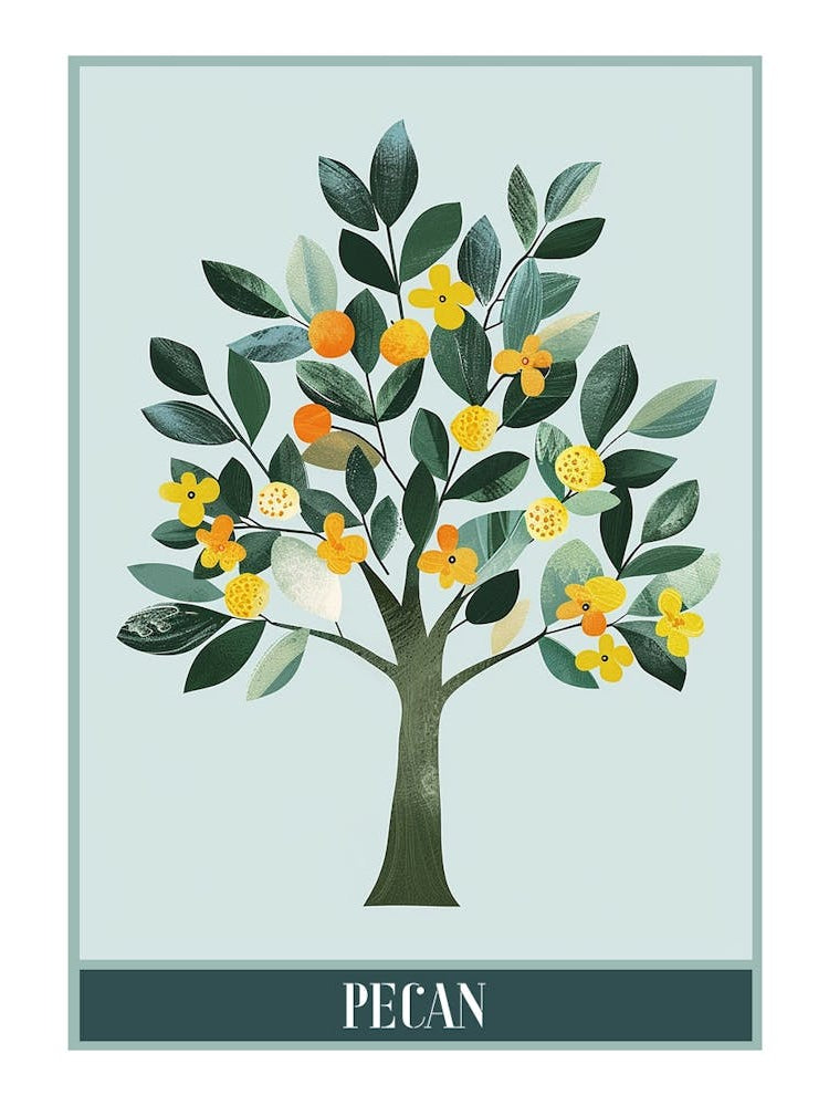 Pecan Tree Flat Illustration 4 Poster