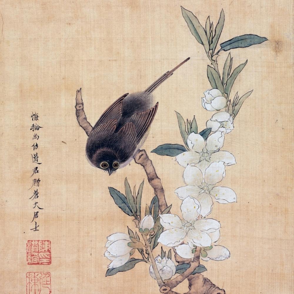 Bird Perched On A Branch
