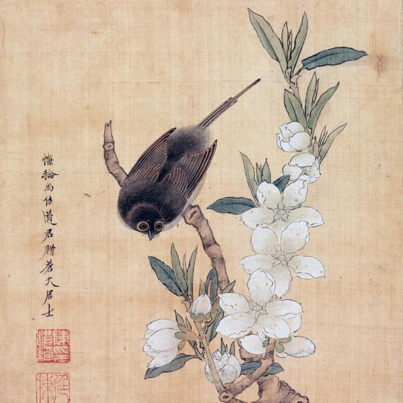 Bird Perched On A Branch