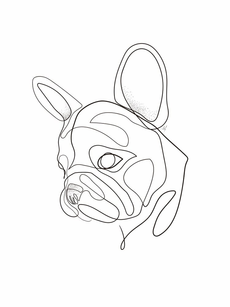 FrenchBulldog