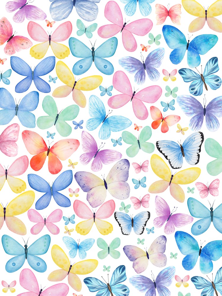 Butterflies In Bloom