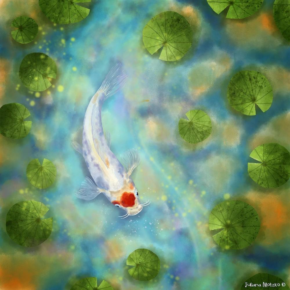 Koi Carp 1 Square