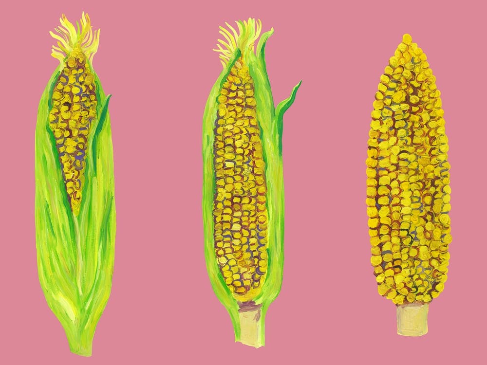 Sweetcorn