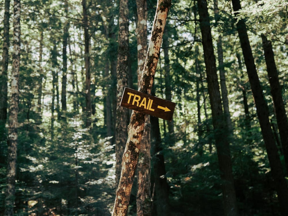 Forest Trail Sign