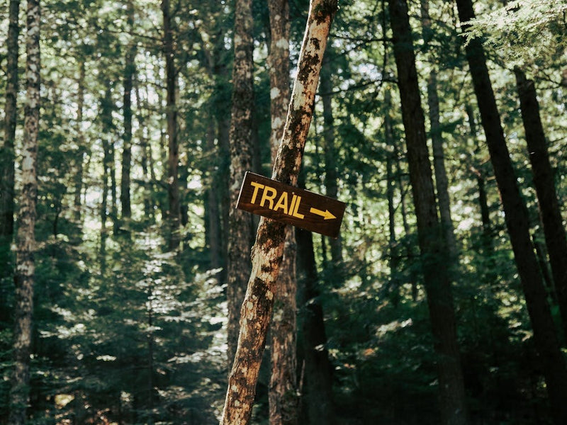 Panneau De Sentier Forestier