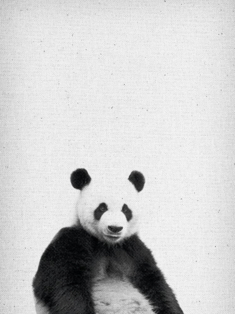 Frolein Panda IV
