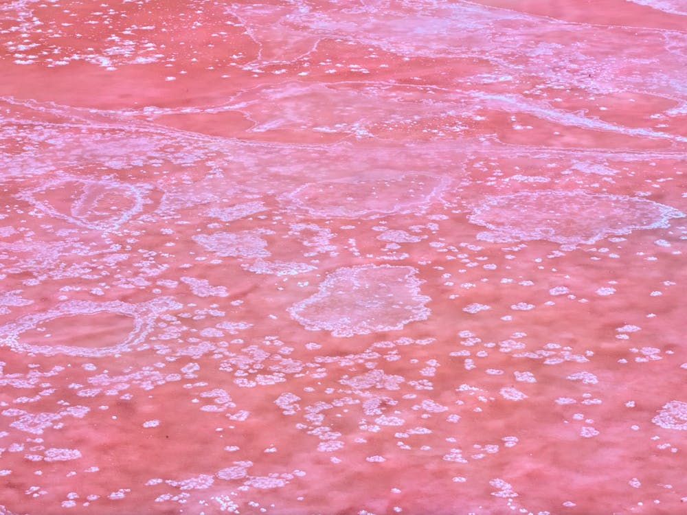 Crystallized Salt In Puerto Real Cadiz